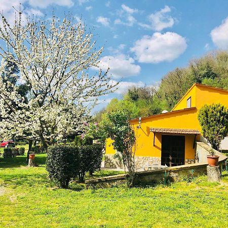 Grotte di Castro Agriturismo Pianezzeヴィラ エクステリア 写真